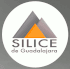 logo Silice de Guadalajara