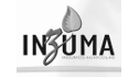 logo de Inzuma