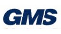 logo de Gluing Machinery & Systems