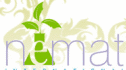 logo Nemat International