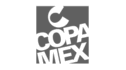logo de Comercializadora Copamex