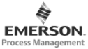 logo de Emerson Process Management