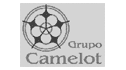logo de grupo camelot