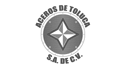 logo de Aceros de Toluca