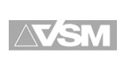 logo de VSM Mexico