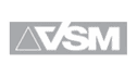 logo VSM México