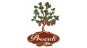 logo Distribuidora Procali