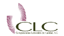 logo Competencias Laborales de Calidad
