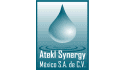 logo Atekl Synergy México