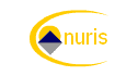 logo Onuris Systems