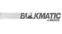 logo de Bulkmatic de Mexico
