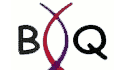 logo de Bonger Química