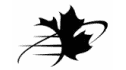 logo Trade Partners