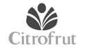 logo de Citrofrut