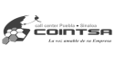 logo de Cointsa