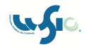 logo Lubricantes Sintéticos de Occidente LUSIO
