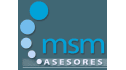 logo MSM Asesores