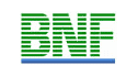 logo BNF Industries Pte. Ltd.