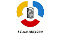 logo Resortes Neza FFAE México / F.F.A.E. México