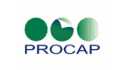 logo PROCAP Servicios de Consultoría