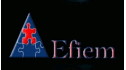 logo Eficiencia Empresarial de México EFIEM