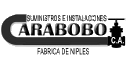 logo de Suministros e Instalaciones Carabobo