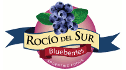 logo Rocío del Sur