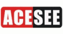 logo ACESEE Security Limited