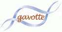 logo Grupo Gavotte & Vidagen