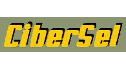 logo Cibernética Selecta