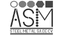 logo de ASM Steel Metal