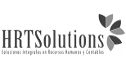 logo de hrt solutions