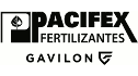 logo Pacifex