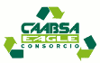 logo Caabsa Eagle