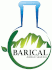 logo Minerales Barical